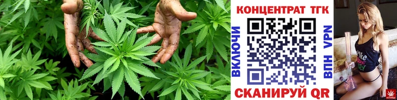 Дистиллят ТГК концентрат  Купить закладки  Высоцк 