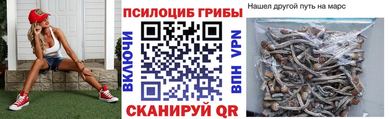 Псилоцибиновые грибы Magic Shrooms  Купить закладки  Высоцк 