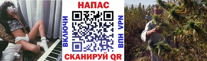 Купить  Высоцк  Бошки Шишки Ganja 